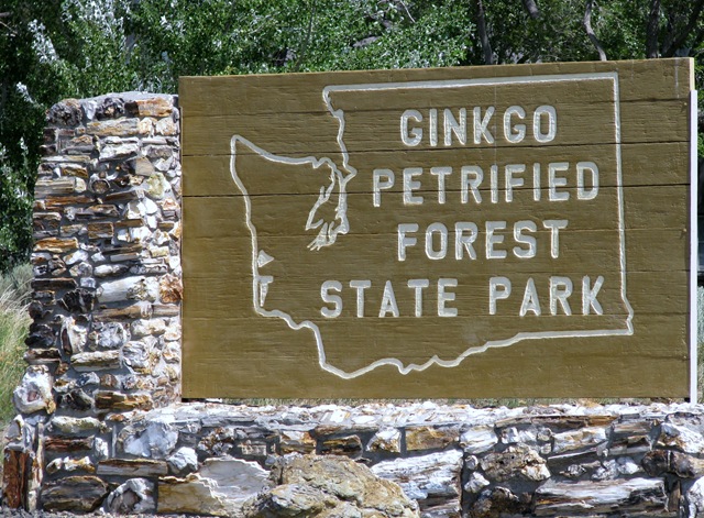 [5162 Ginkgo Petrified Forest State Park WA[2].jpg]