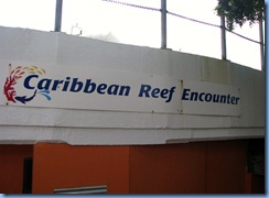 7698 Caribbean Reef Encounter Coral World Charlotte Amalie St Thomas USVI