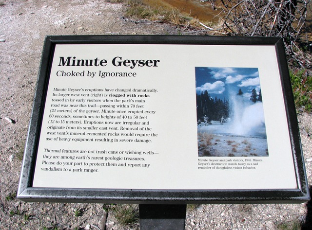 [9153 Minute Geyser Norris Geyser Basin YNP WY[2].jpg]