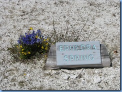 9021 Ephedra Spring West Thumb Geyser Basin YNP WY