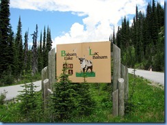 0594 Balsam Lake Meadows in the Sky Parkway RNP BC