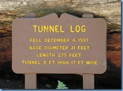 2600 Tunnel Log Sequoia National Park CA