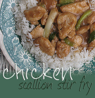 A close up photo of chicken scallion stir fry over white rice on a teal and white decorative plate.