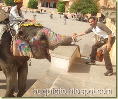 india 15 india 15