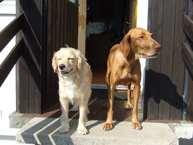 DSCF0797.JPG