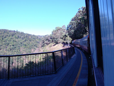 Viewing the rainforest from our car aboard the Kuranda Scenic Railway