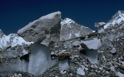 Everest - Glacier Mushrooms
