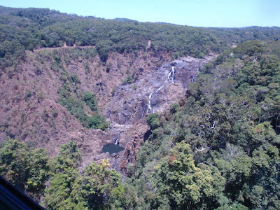 The rainforest with the Barron Falls coming into view