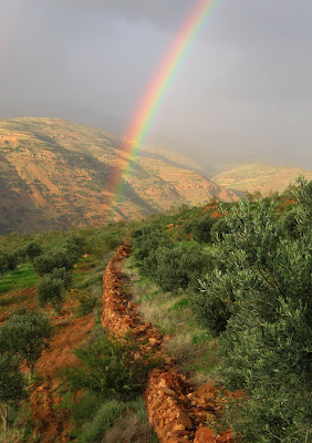rainbow over the countryside on the path in northern Jordan, near an area called Ajloun