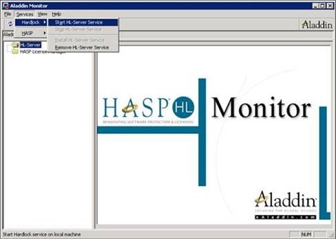 Aladdin monitor: starting the HL-Server