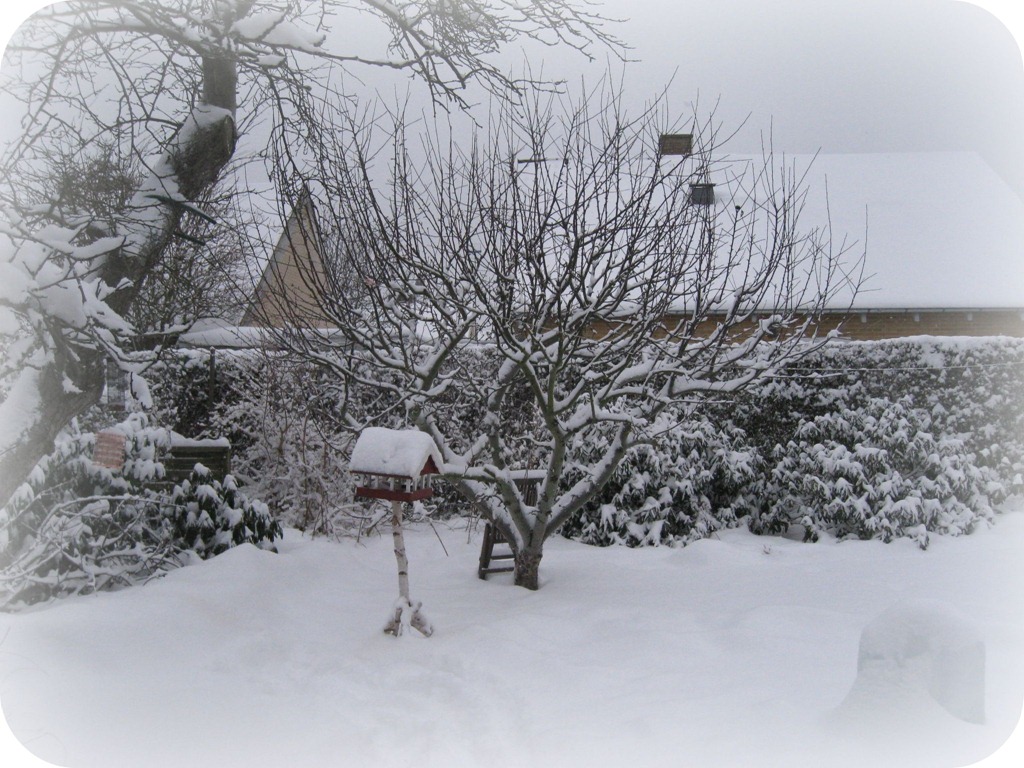 [Sne i haven, 6. feb. 2010, picniked[7].jpg]