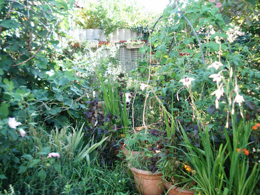 20100829%20028.JPG