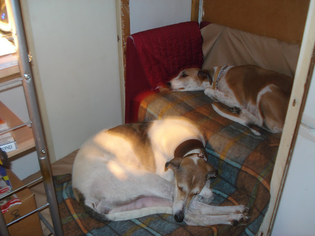 DSC09913.JPG