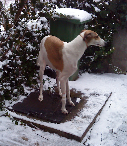 2011.01%20048.JPG
