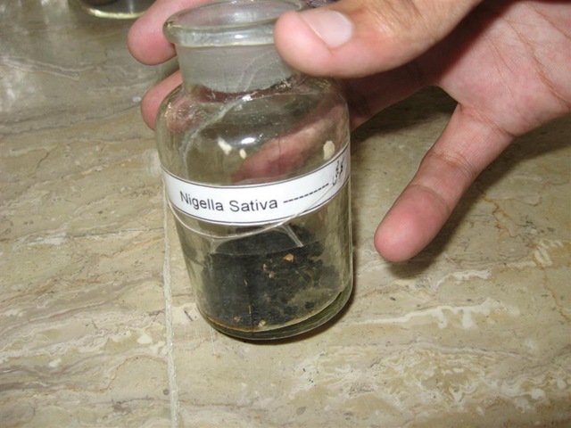 [nigella sativa specimen pharmacology[2].jpg]