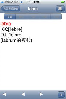 部分字辭僅顯示為某字之變化型