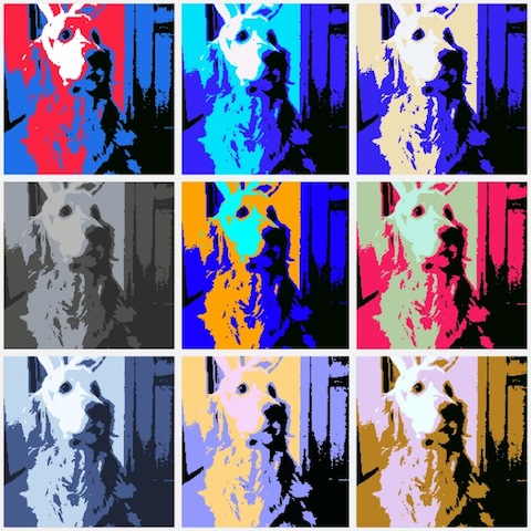 只要輕點Poster鍵幾下，就會顯示不同的層次。真的是非常棒的一項設計！