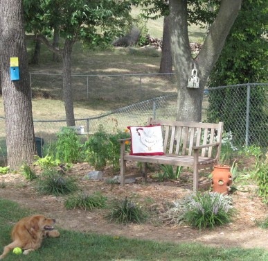 [Rooster pillow and free old bench 001[11].jpg]