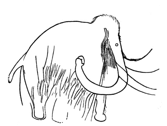 [mamut z combarelles[7].png]