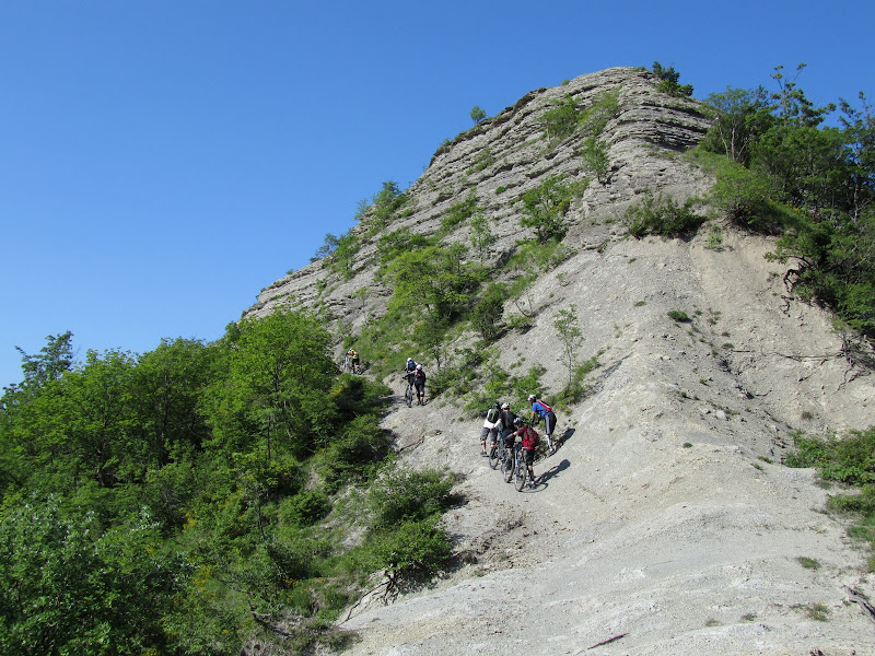 nasseto_019.jpg