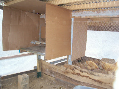 Pictures of roost 