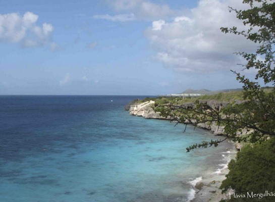 6- Bonaire copy