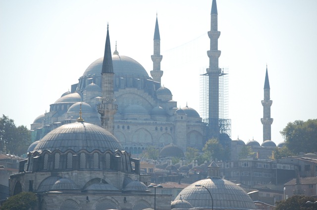 [Turkia 2009 - Estambul  -  Mezquita de Suleiman    290[2].jpg]