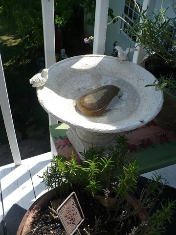 [birdbath[3].jpg]