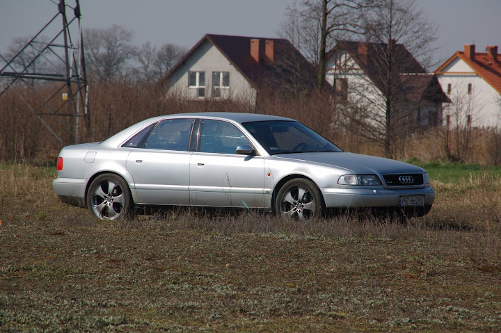 DSC_7286.JPG
