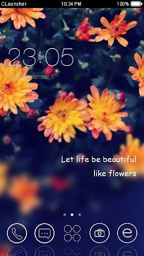 Summer Flower C Launcher Theme