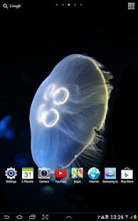 免費下載個人化APP|Jellyfish Live Wallpaper app開箱文|APP開箱王