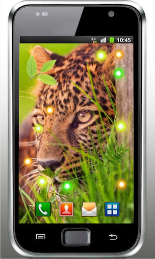 Jaguar Photos live wallpaper