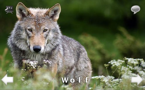 Download Animal Sounds and Spell HD APK