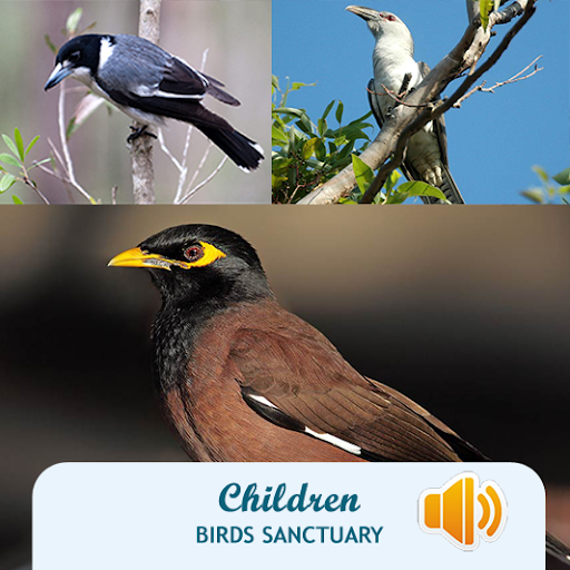 【免費書籍App】Children Birds Sanctuary-APP點子