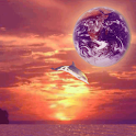 Dolphin HighJump logo
