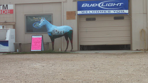 Cowboy Corner's Painted Horse.
