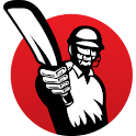 Cricket Hub logo