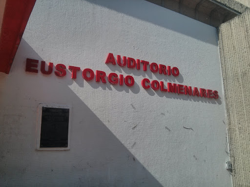 Auditorio Eustorgio Colmenares
