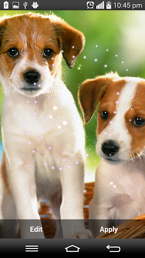 【免費娛樂App】Cute Puppies Live Wallpaper-APP點子