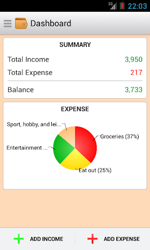 Income and Expense Insight