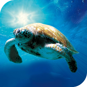 Ocean Live Wallpaper.apk 2.0