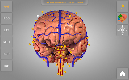 Brain 3D Anatomy Lite poster 14