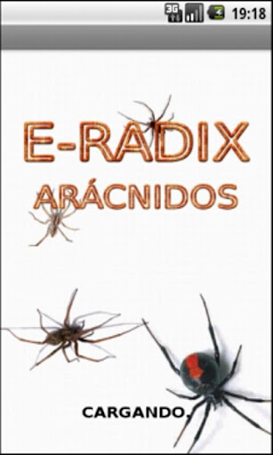 E-RADIX ARACHNIDS