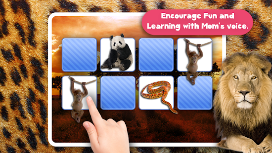 Memory Wildlife Photo For Kids Screenshots 13