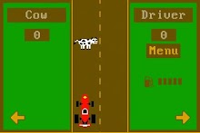 Donkey Racing