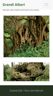 Grandi alberi dei Nebrodi Screenshots 11