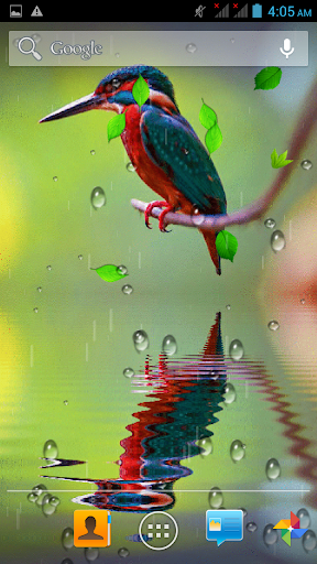 【免費娛樂App】Bird Reflection Live Wallpaper-APP點子