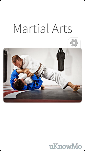 Martial Arts - Combat Defense