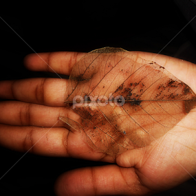 by Nirmal Anto - People Body Parts