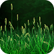 Grass Live Wallpaper APK